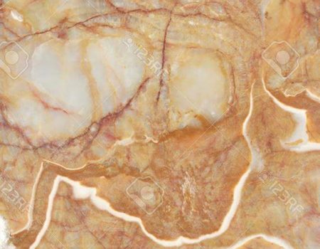 WhatsApp Image 2024-07-04 at 5.15.16 AM